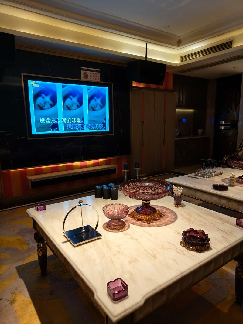 平顶山商务ktv优选商务ktv预订平台-石龙区ktv预订